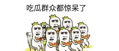 吃瓜群众波兰球动画,一场视觉盛宴与政治隐喻的碰撞