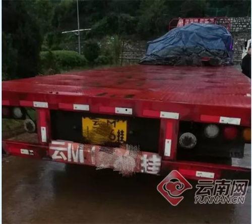 吃瓜群众张某是谁,吃瓜群众张某背后的故事