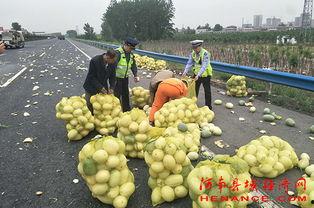 茌平专业吃瓜群众,揭秘当地热点事件背后的真相