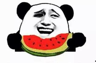 吃瓜群众的正确姿势图片,轻松掌握观瓜之道