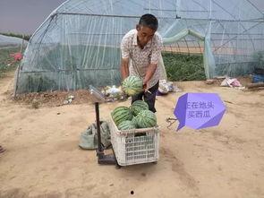 吃瓜群众廖廖,揭秘娱乐圈幕后故事