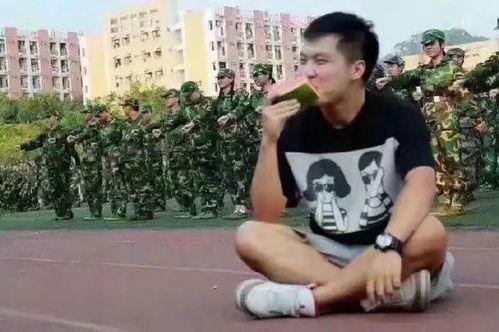 吃瓜群众岳鑫视频,揭秘娱乐圈幕后故事