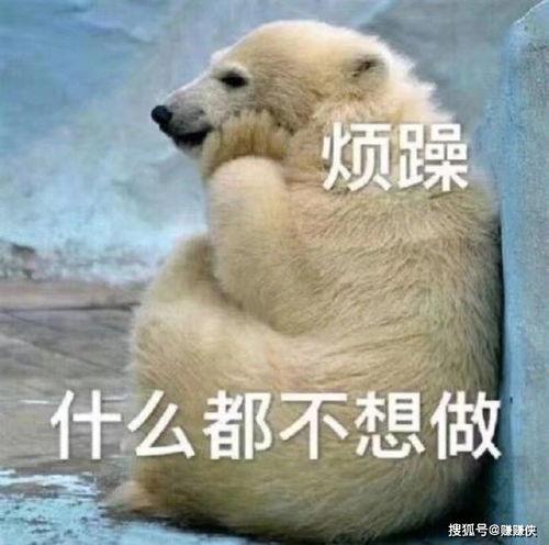 吃瓜群众动态照片图文大全,捕捉社会百态瞬间