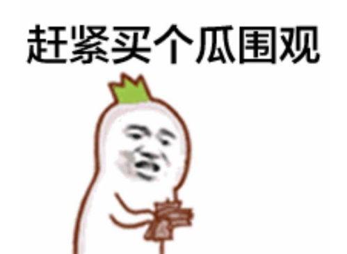 吃瓜群众艾特视频在线观看,揭秘“吃瓜群众艾特视频”在线观看热潮