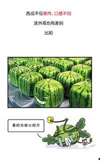 早期吃瓜群众,揭秘网络舆论场的演变